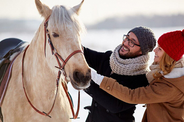 Конная прогулка для двоих в Тюмени. Подарочные сертификаты Ultra Подарки. Купить оригинальный подарок или подарочный сертификат на Конную прогулка для двоих в Тюмени. Сервис UltraPodarki.ru 8-800-505-9530. Катание на лошадях, Прогулка на лошади, Прогулка на лошадях для двоих,кони, конный клуб, конный клуб Horse Travel, конная прогулка, конная прогулка в Тюмени