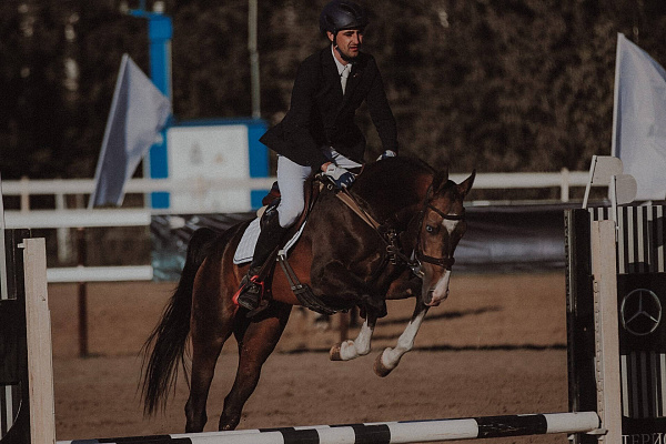 Конная прогулка для двоих в Тюмени. Подарочные сертификаты Ultra Подарки. Купить оригинальный подарок или подарочный сертификат на Конную прогулка для двоих в Тюмени. Сервис UltraPodarki.ru 8-800-505-9530. Катание на лошадях, Прогулка на лошади, Прогулка на лошадях для двоих,кони, конный клуб, конный клуб Horse Travel, конная прогулка, конная прогулка в Тюмени