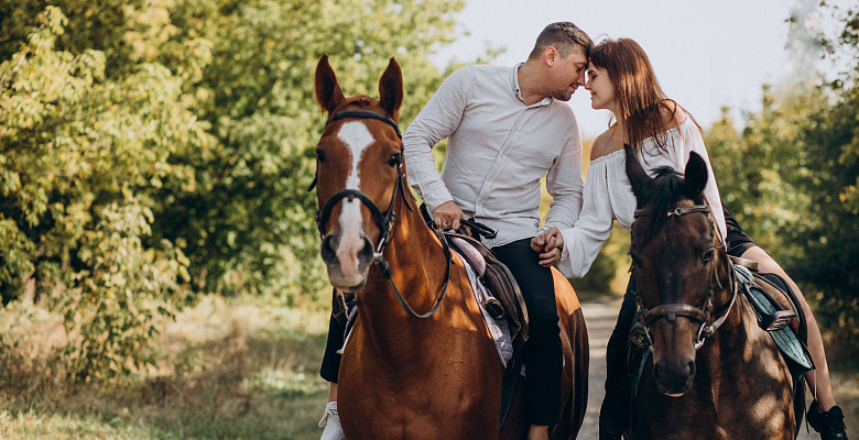Конная прогулка для двоих в Тюмени. Подарочные сертификаты Ultra Подарки. Купить оригинальный подарок или подарочный сертификат на Конную прогулка для двоих в Тюмени. Сервис UltraPodarki.ru 8-800-505-9530. Катание на лошадях, Прогулка на лошади, Прогулка на лошадях для двоих,кони, конный клуб, конный клуб Horse Travel, конная прогулка, конная прогулка в Тюмени