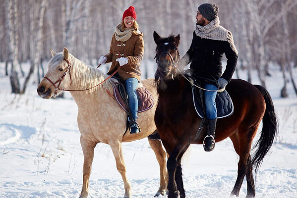 Конная прогулка для двоих в Тюмени. Подарочные сертификаты Ultra Подарки. Купить оригинальный подарок или подарочный сертификат на Конную прогулка для двоих в Тюмени. Сервис UltraPodarki.ru 8-800-505-9530. Катание на лошадях, Прогулка на лошади, Прогулка на лошадях для двоих,кони, конный клуб, конный клуб Horse Travel, конная прогулка, конная прогулка в Тюмени