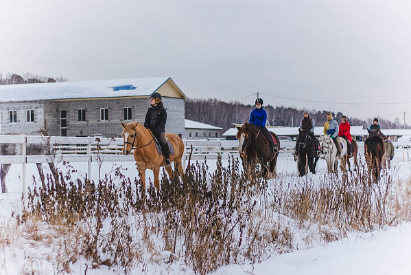 Конная прогулка для двоих в Тюмени. Подарочные сертификаты Ultra Подарки. Купить оригинальный подарок или подарочный сертификат на Конную прогулка для двоих в Тюмени. Сервис UltraPodarki.ru 8-800-505-9530. Катание на лошадях, Прогулка на лошади, Прогулка на лошадях для двоих,кони, конный клуб, конный клуб Horse Travel, конная прогулка, конная прогулка в Тюмени