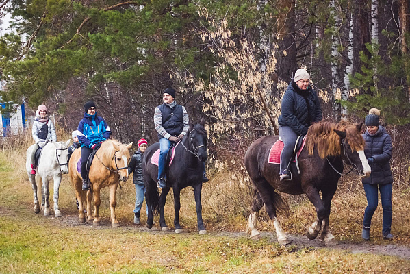 Конная прогулка для двоих в Тюмени. Подарочные сертификаты Ultra Подарки. Купить оригинальный подарок или подарочный сертификат на Конную прогулка для двоих в Тюмени. Сервис UltraPodarki.ru 8-800-505-9530. Катание на лошадях, Прогулка на лошади, Прогулка на лошадях для двоих,кони, конный клуб, конный клуб Horse Travel, конная прогулка, конная прогулка в Тюмени