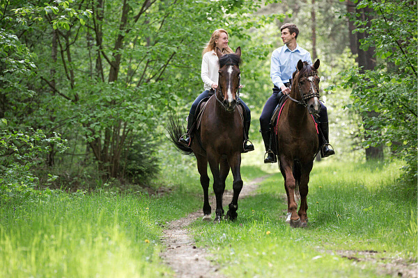 Конная прогулка для двоих в Тюмени. Подарочные сертификаты Ultra Подарки. Купить оригинальный подарок или подарочный сертификат на Конную прогулка для двоих в Тюмени. Сервис UltraPodarki.ru 8-800-505-9530. Катание на лошадях, Прогулка на лошади, Прогулка на лошадях для двоих,кони, конный клуб, конный клуб Horse Travel, конная прогулка, конная прогулка в Тюмени