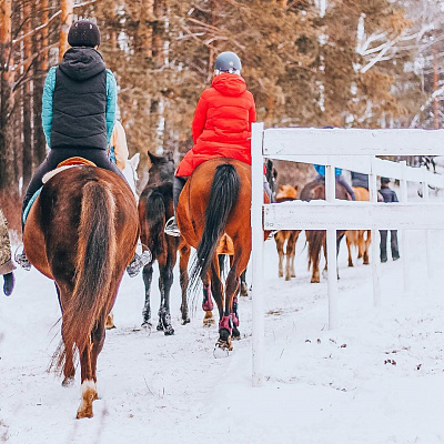 Конная прогулка для двоих в Тюмени. Подарочные сертификаты Ultra Подарки. Купить оригинальный подарок или подарочный сертификат на Конную прогулка для двоих в Тюмени. Сервис UltraPodarki.ru 8-800-505-9530. Катание на лошадях, Прогулка на лошади, Прогулка на лошадях для двоих,кони, конный клуб, конный клуб Horse Travel, конная прогулка, конная прогулка в Тюмени