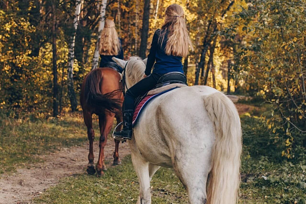 Конная прогулка для двоих в Тюмени. Подарочные сертификаты Ultra Подарки. Купить оригинальный подарок или подарочный сертификат на Конную прогулка для двоих в Тюмени. Сервис UltraPodarki.ru 8-800-505-9530. Катание на лошадях, Прогулка на лошади, Прогулка на лошадях для двоих,кони, конный клуб, конный клуб Horse Travel, конная прогулка, конная прогулка в Тюмени