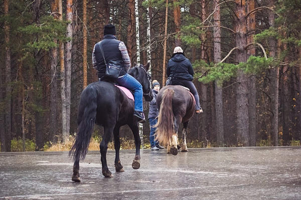 Конная прогулка для двоих в Тюмени. Подарочные сертификаты Ultra Подарки. Купить оригинальный подарок или подарочный сертификат на Конную прогулка для двоих в Тюмени. Сервис UltraPodarki.ru 8-800-505-9530. Катание на лошадях, Прогулка на лошади, Прогулка на лошадях для двоих,кони, конный клуб, конный клуб Horse Travel, конная прогулка, конная прогулка в Тюмени
