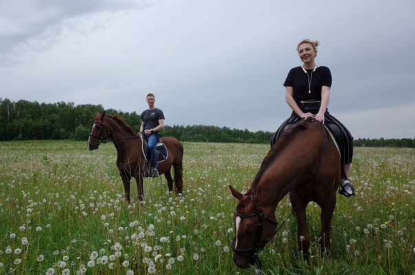 Конная прогулка для двоих в Тюмени. Подарочные сертификаты Ultra Подарки. Купить оригинальный подарок или подарочный сертификат на Конную прогулка для двоих в Тюмени. Сервис UltraPodarki.ru 8-800-505-9530. Катание на лошадях, Прогулка на лошади, Прогулка на лошадях для двоих,кони, конный клуб, конный клуб Horse Travel, конная прогулка, конная прогулка в Тюмени