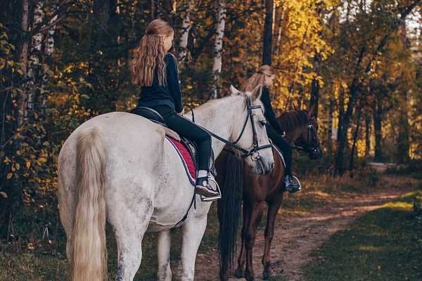 Конная прогулка для двоих в Тюмени. Подарочные сертификаты Ultra Подарки. Купить оригинальный подарок или подарочный сертификат на Конную прогулка для двоих в Тюмени. Сервис UltraPodarki.ru 8-800-505-9530. Катание на лошадях, Прогулка на лошади, Прогулка на лошадях для двоих,кони, конный клуб, конный клуб Horse Travel, конная прогулка, конная прогулка в Тюмени