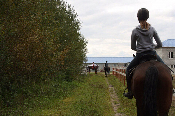 Конная прогулка для двоих в Тюмени. Подарочные сертификаты Ultra Подарки. Купить оригинальный подарок или подарочный сертификат на Конную прогулка для двоих в Тюмени. Сервис UltraPodarki.ru 8-800-505-9530. Катание на лошадях, Прогулка на лошади, Прогулка на лошадях для двоих,кони, конный клуб, конный клуб Horse Travel, конная прогулка, конная прогулка в Тюмени