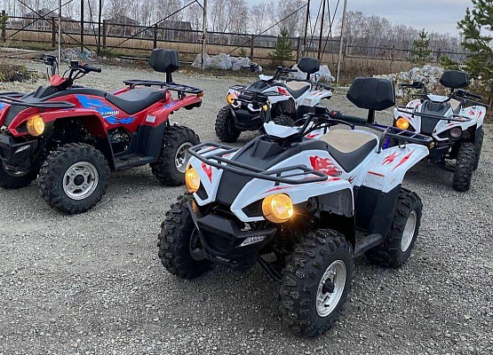 Прокат квадроциклов летом в Тюмени #в Тюмени#. Сервис Ultra Подарки. Подарочный сертификат на прокат квадроциклов летом и зимой в Тюмени #в Тюмени#. Закажите катание на квадроциклах недорого и наслаждайтесь активным отдыхом с друзьями. Выбирайте живописные маршруты для езды на квадроциклах. Сервис UltraPodarki.ru 8-800-505-95-30. Катание на квадроциклах, Прокат квадроциклов, езда на квадроцикле, прокат квадроциклов Тюмень #Тюмень#, катание на квадроциклах Тюмень #Тюмень#, Катание на квадроциклах зимой, Катание на квадроциклах летом, Сертификат на катание на квадроциклах 

