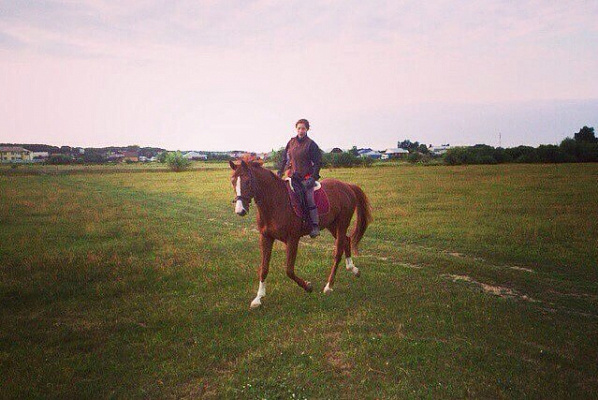 Конная прогулка для двоих в Тюмени. Подарочные сертификаты Ultra Подарки. Купить оригинальный подарок или подарочный сертификат на Конную прогулка для двоих в Тюмени. Сервис UltraPodarki.ru 8-800-505-9530. Катание на лошадях, Прогулка на лошади, Прогулка на лошадях для двоих,кони, конный клуб, конный клуб Horse Travel, конная прогулка, конная прогулка в Тюмени