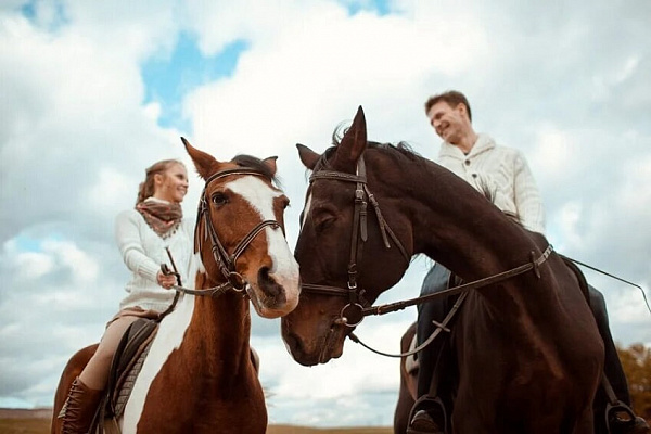 Конная прогулка для двоих в Тюмени. Подарочные сертификаты Ultra Подарки. Купить оригинальный подарок или подарочный сертификат на Конную прогулка для двоих в Тюмени. Сервис UltraPodarki.ru 8-800-505-9530. Катание на лошадях, Прогулка на лошади, Прогулка на лошадях для двоих,кони, конный клуб, конный клуб Horse Travel, конная прогулка, конная прогулка в Тюмени