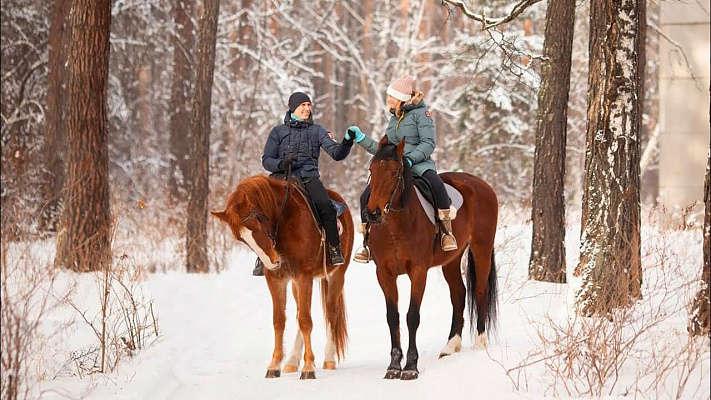Конная прогулка для двоих в Тюмени. Подарочные сертификаты Ultra Подарки. Купить оригинальный подарок или подарочный сертификат на Конную прогулка для двоих в Тюмени. Сервис UltraPodarki.ru 8-800-505-9530. Катание на лошадях, Прогулка на лошади, Прогулка на лошадях для двоих,кони, конный клуб, конный клуб Horse Travel, конная прогулка, конная прогулка в Тюмени