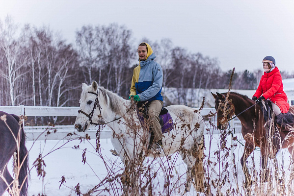 Конная прогулка для двоих в Тюмени. Подарочные сертификаты Ultra Подарки. Купить оригинальный подарок или подарочный сертификат на Конную прогулка для двоих в Тюмени. Сервис UltraPodarki.ru 8-800-505-9530. Катание на лошадях, Прогулка на лошади, Прогулка на лошадях для двоих,кони, конный клуб, конный клуб Horse Travel, конная прогулка, конная прогулка в Тюмени