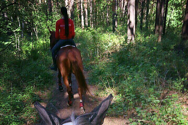 Конная прогулка для двоих в Тюмени. Подарочные сертификаты Ultra Подарки. Купить оригинальный подарок или подарочный сертификат на Конную прогулка для двоих в Тюмени. Сервис UltraPodarki.ru 8-800-505-9530. Катание на лошадях, Прогулка на лошади, Прогулка на лошадях для двоих,кони, конный клуб, конный клуб Horse Travel, конная прогулка, конная прогулка в Тюмени