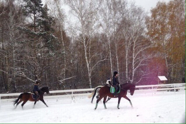 Конная прогулка для двоих в Тюмени. Подарочные сертификаты Ultra Подарки. Купить оригинальный подарок или подарочный сертификат на Конную прогулка для двоих в Тюмени. Сервис UltraPodarki.ru 8-800-505-9530. Катание на лошадях, Прогулка на лошади, Прогулка на лошадях для двоих,кони, конный клуб, конный клуб Horse Travel, конная прогулка, конная прогулка в Тюмени