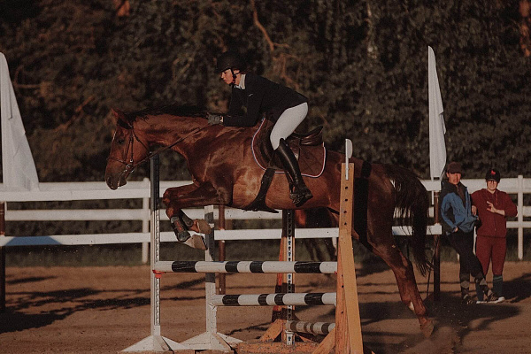 Конная прогулка для двоих в Тюмени. Подарочные сертификаты Ultra Подарки. Купить оригинальный подарок или подарочный сертификат на Конную прогулка для двоих в Тюмени. Сервис UltraPodarki.ru 8-800-505-9530. Катание на лошадях, Прогулка на лошади, Прогулка на лошадях для двоих,кони, конный клуб, конный клуб Horse Travel, конная прогулка, конная прогулка в Тюмени